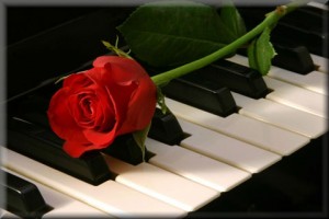 Piano-keys-with-rose1
